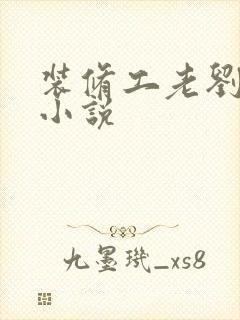 装修工老刘林雪小说