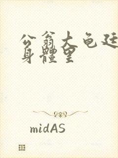 公翁大龟廷进我身体里