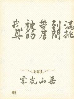 我被带到满是玩具的房间挑调游戏