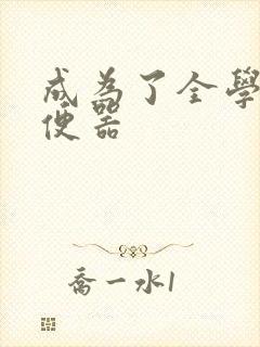 成为了全学校坐便器