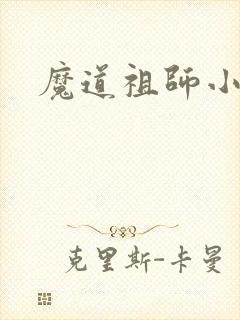 魔道祖师小说