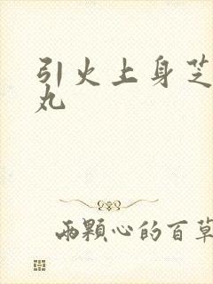 引火上身芝麻糖丸