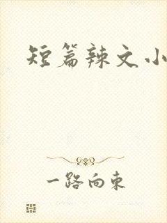 短篇辣文小说