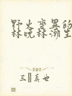 野火变异的父爱林晚林潮生