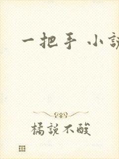 一把手 小说