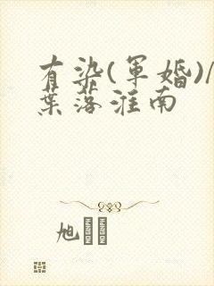 有染(军婚)/叶落淮南