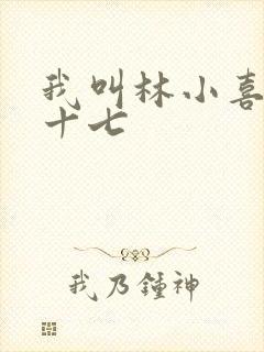 我叫林小喜今年十七