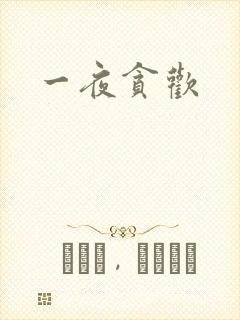 一夜贪欢