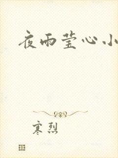 夜雨莹心小说