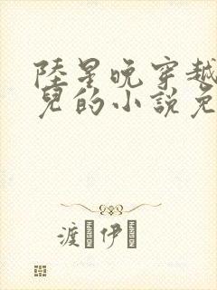 陆星晚穿越成婴儿的小说免费阅读全文