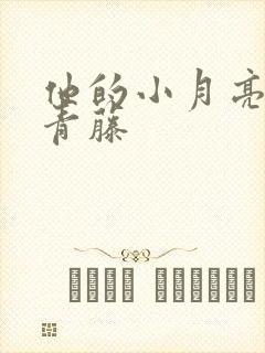 他的小月亮by青藤