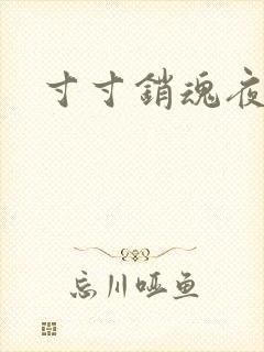 寸寸销魂夜春光