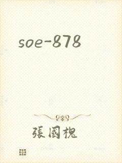 soe-878