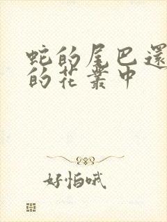 蛇的尾巴还在我的花丛中