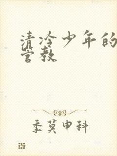 清冷少年的严厉管教