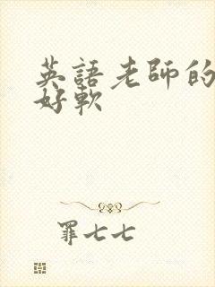 英语老师的兔子好软