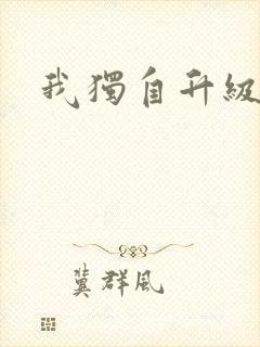 我独自升级小说