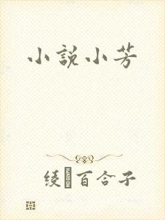 小说小芳