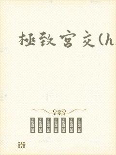 极致宫交(h)
