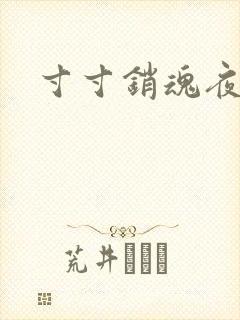 寸寸销魂夜春光