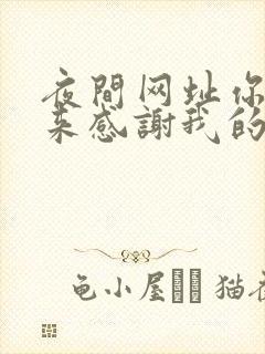 夜间网址你会回来感谢我的