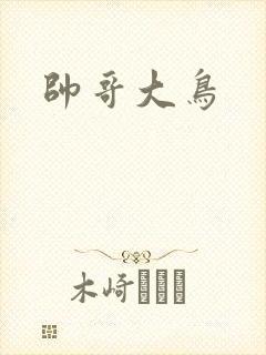 帅哥大鸟