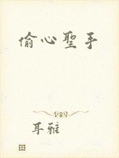 偷心圣手