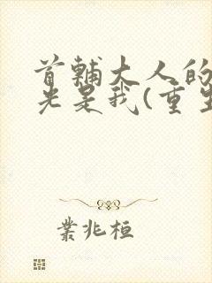 首辅大人的白月光是我(重生)