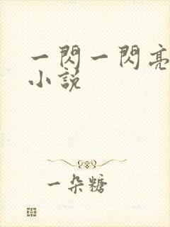 一闪一闪亮星星小说