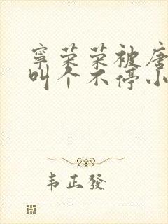 宁荣荣被唐三桶叫个不停小说