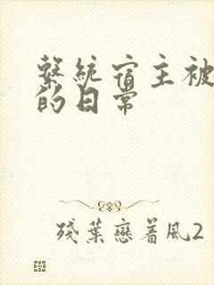 系统宿主被灌满的日常