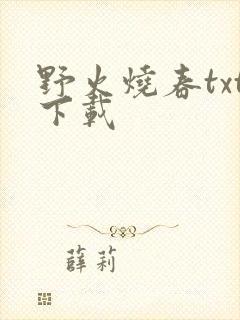 野火烧春txt下载