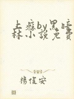 上瘾by黑暗森林小说免费