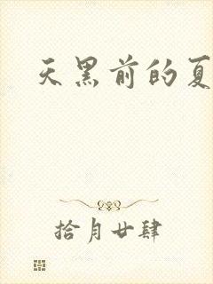 天黑前的夏天