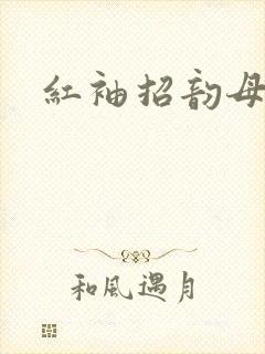 红袖招韵母攻略