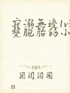 宠溺无边1v3双胞胎的小说