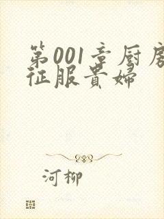 第001章厨房征服贵妇