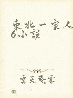 东北一家人1一6小说