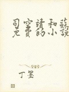 司空靖和苏月汐免费的小说笔趣阁