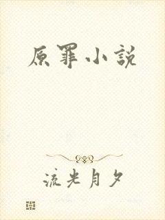 原罪小说
