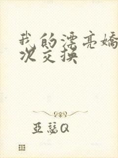 我的漂亮娇妻初次交换