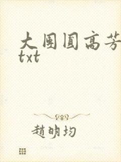 大团圆高芳小说txt