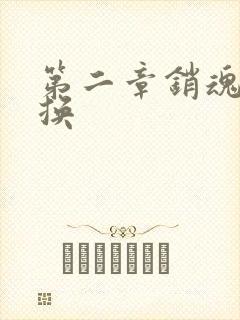 第二章销魂的交换