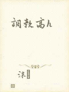 调教高h