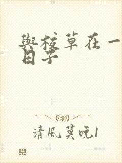 与校草在一起的日子