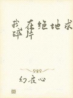 我在绝地求生捡碎片