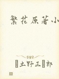 繁花原著小说