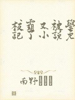 校霸又被学神标记了小说免费阅读