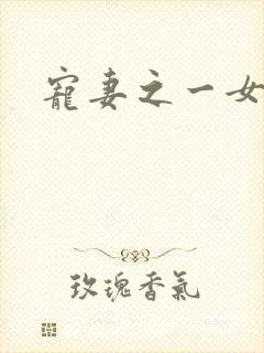 宠妻之一女二夫