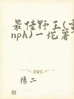 最佳野王(电竞nph)一坨薯饼